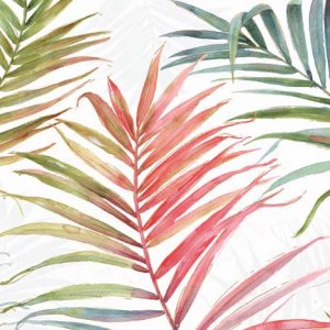 Tropical Blush IV