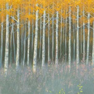 Anochecer en el bosque