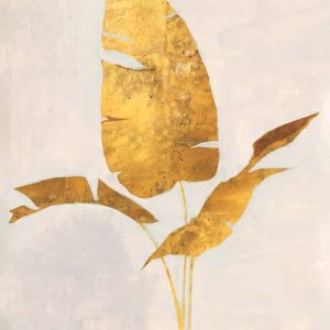 Palma Dorada Botánica II